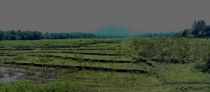 MAPPF调派重型设备修复乌阿图拉里灌溉系统