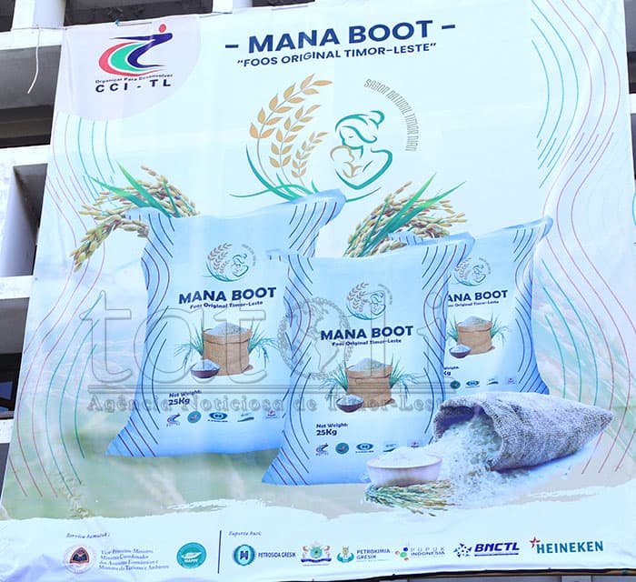 “Mana Boot”大米生产停滞，东帝汶工商会推动私人投资