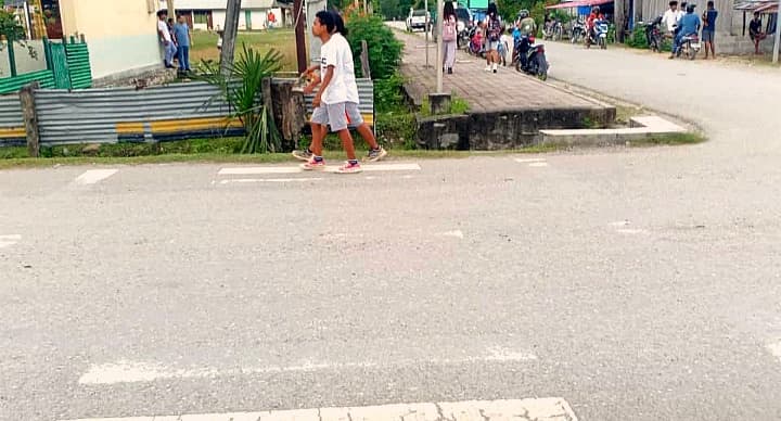 DNTT局长：优先重画斑马线