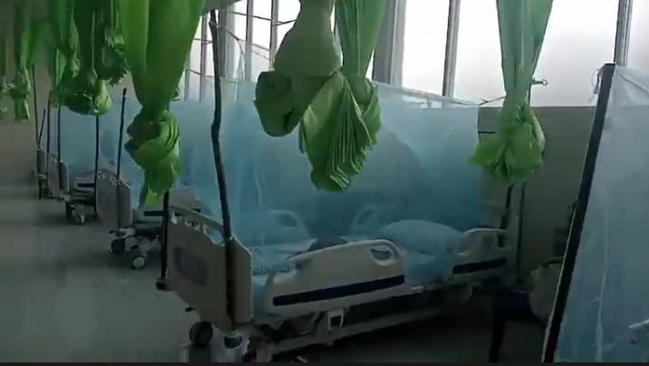 欧库西登革热病例升至60例，1人死亡