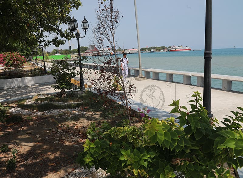 帝力市当局：将协调政府维护花园照明