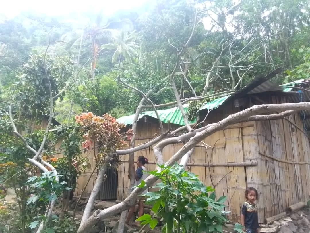 包考民防局：39所房屋受损，3人死亡