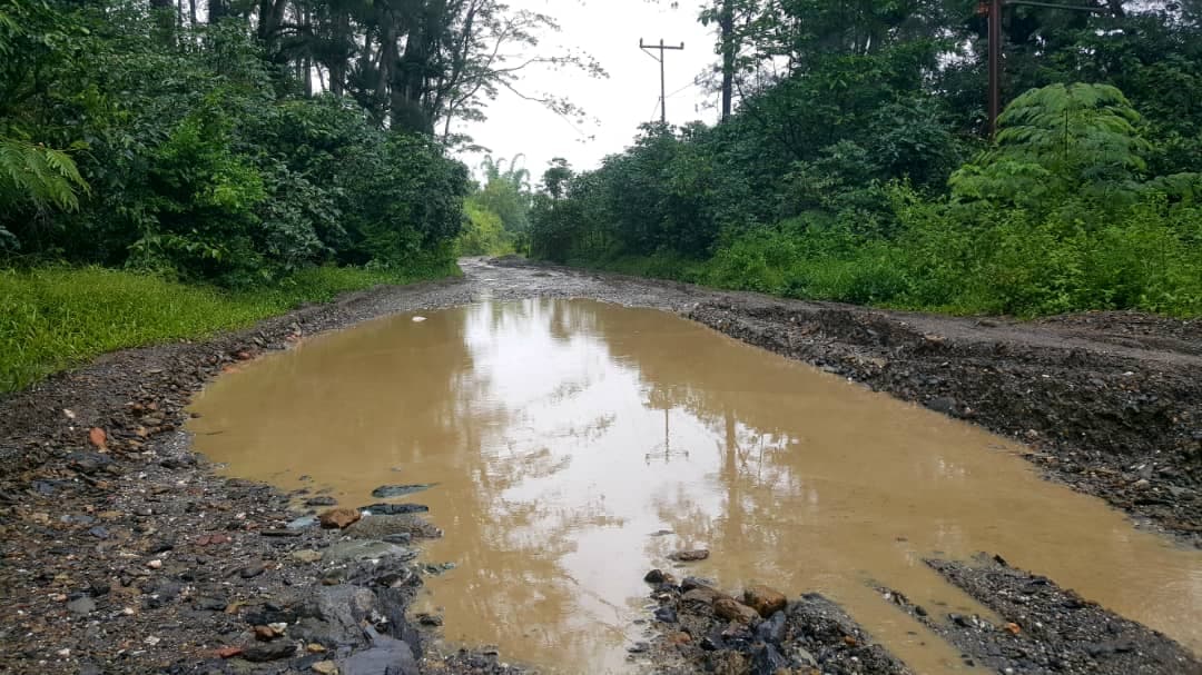 公共工程部：格莱诺-雷泰福霍公路正在设计