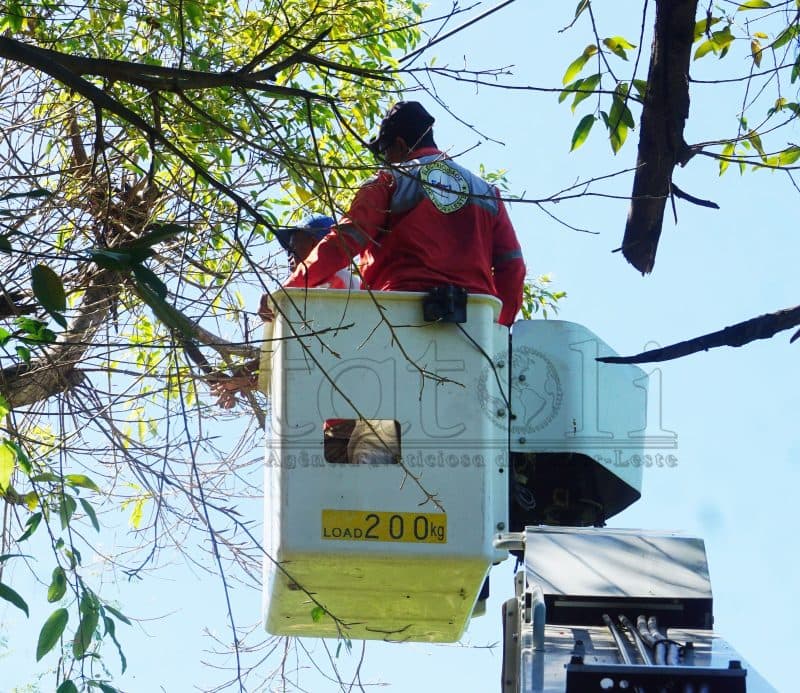 EDTL:欧库西停电10小时,因开关烧坏