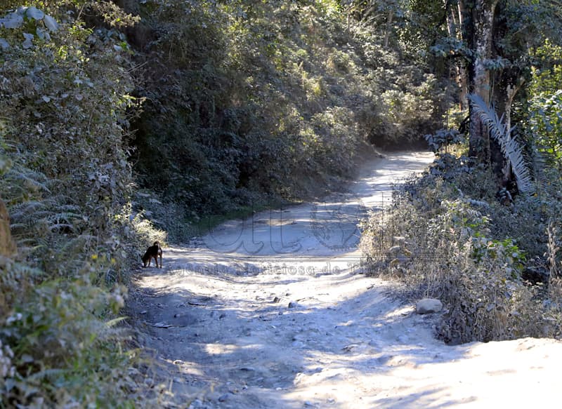 科瓦利马三行政站农村道路列入维修名单
