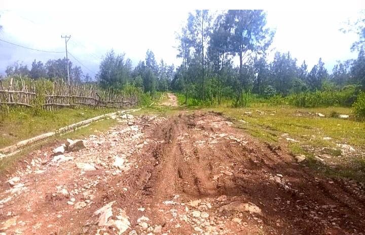 维克拉市公共工程局长:乡村公路修复项目共9个包段