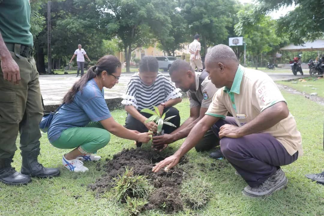 欧库西农业部门:在努姆贝教区种70棵树绿化环境