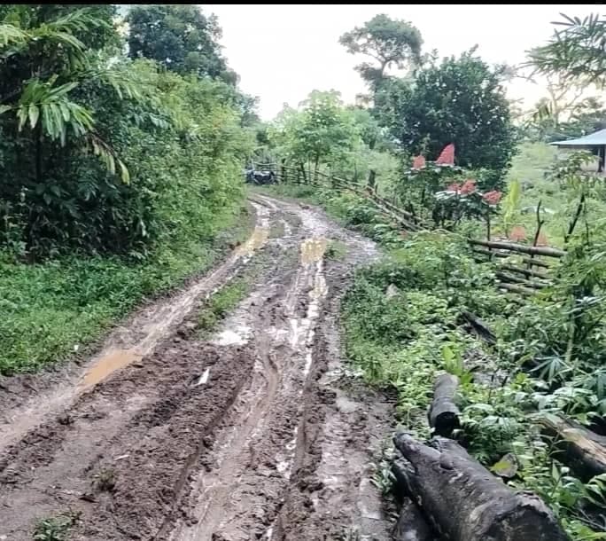 西里马纳15公里道路路况差,村民盼修复