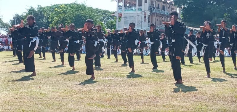 法图卢利克居民担忧武术团体成员持标志活动