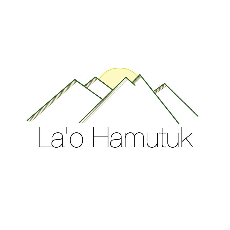 拉奥哈穆图克就预算修订向议会提九项建议