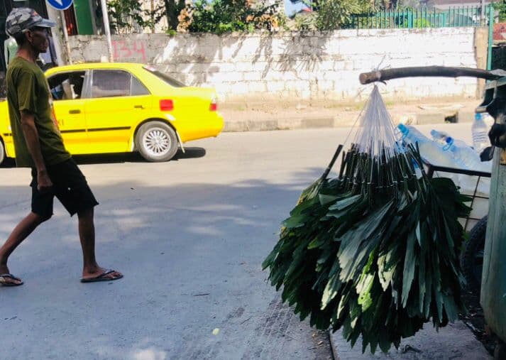 帝力棕枝上市忙,小贩沿街叫卖