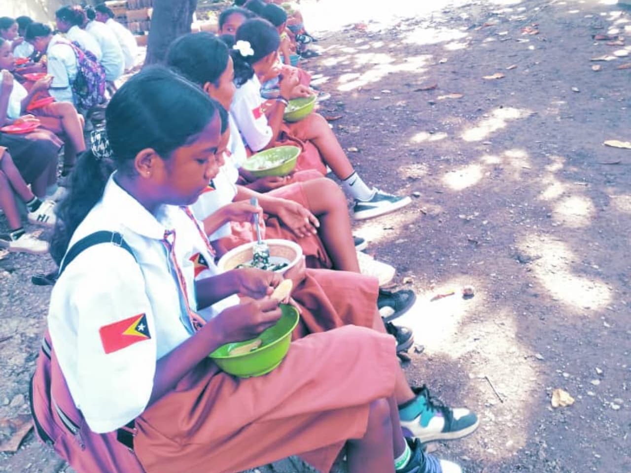 教育部:学校营养餐产品不足可用其他食物替代
