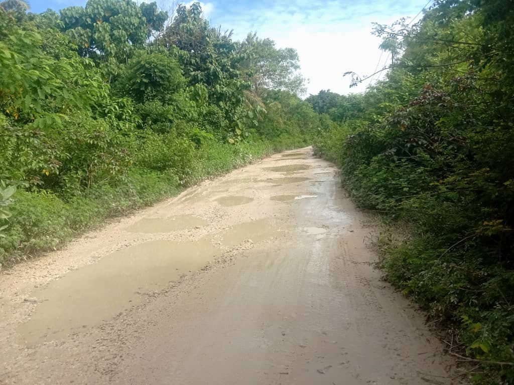 公共工程部:已完成卢卡至拉库塔道路设计