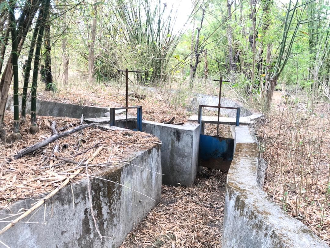 局长:利基萨1323公顷稻田因缺水荒废