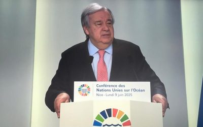 联合国秘书长：罗兴亚危机亟需全球行动