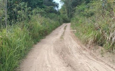 路烂到救护车难行，东帝汶村民盼修路