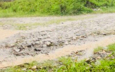 Komunidade Preokupa ho Kondisaun Estrada