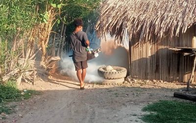 Servisu Munisipal Saude Halo Prevensaun Dengue ba Uma Kain 1.051 iha Baukau
