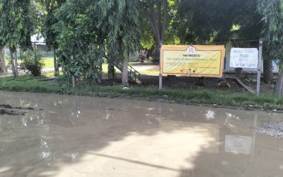 Dalan Nakonu ho Bee, Estudante Nafatin Tama Eskola
