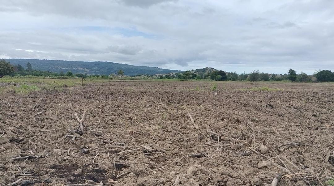 Natar Balu iha Suku Seiçal Maran Dekor